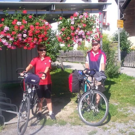 Gasthof-pension Ortner 3* Stadl an der Mur