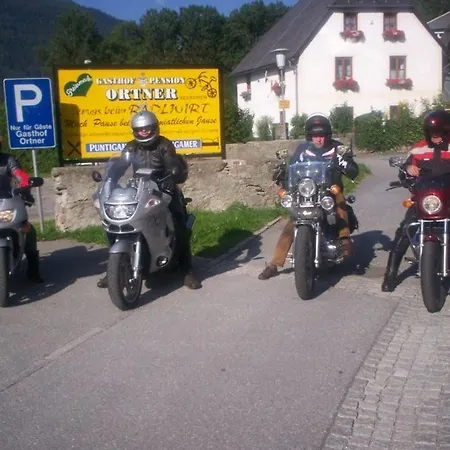 Gasthof-pension Ortner 3*